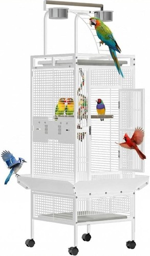 Cage inch iron bird - inch,
