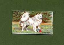Spratt's (Pet Food) Prize Dogs 1910 Type Card Pomeranian Excellent