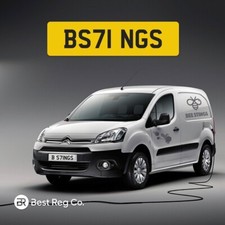 BS71 NGS 🐝 Bee Stings