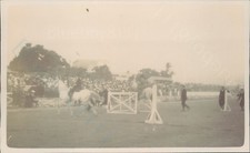 Horses show jumping  real photo