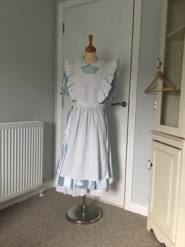 Alice wonderland fancy - in,