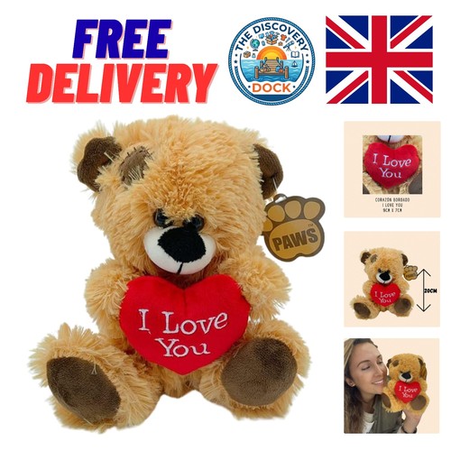 Charming teddy bear - teddy,