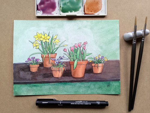 Spring bulbs original a5 - bulbs",