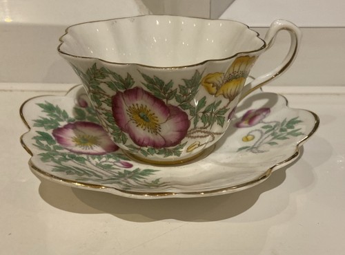 Rosina bone china cup and - cup,