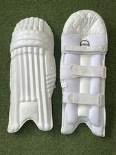TCS Players Edition Cricket