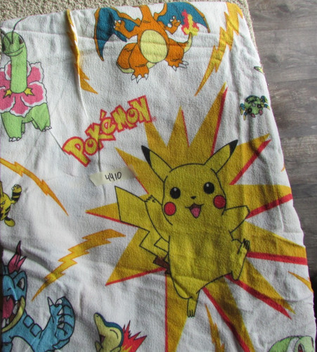 Anime pokemon charizard - pokemon,