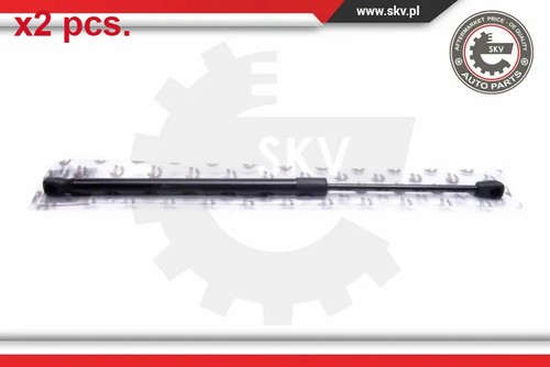 Pcs taile gate gas - gas, springs