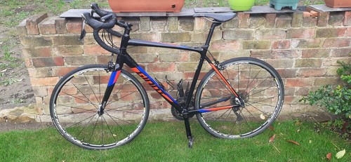 Giant contend 2019 - giant,