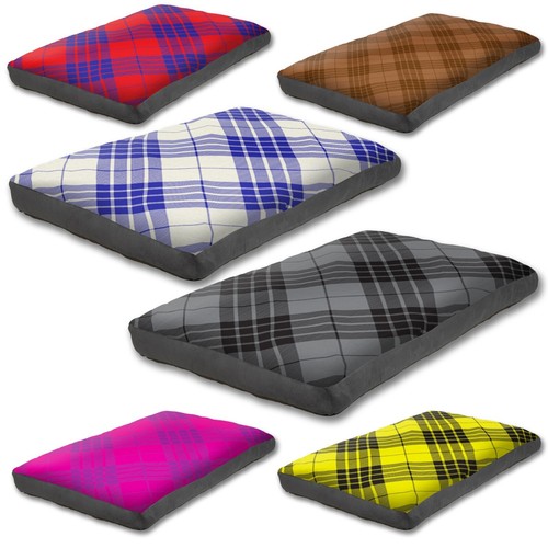Luxury tartan design dog pet - luxury,