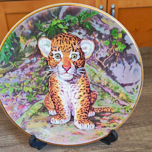 Royal stafford jungle - stafford,