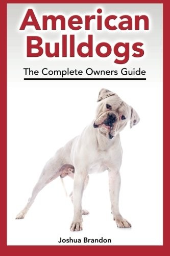American bulldogs the - american,