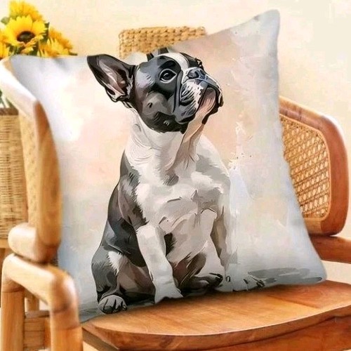 Beautiful french bulldog - 1,