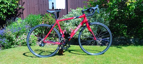 Genesis delta road bike 56cm - road,