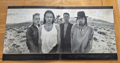 Vinyl joshua tree - vinyl,