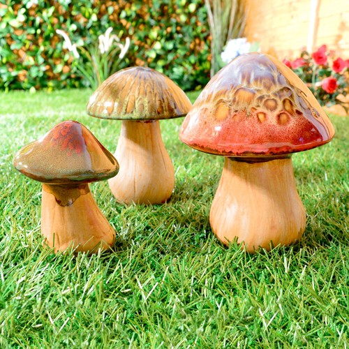 Set mushroom garden - set,