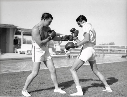 Joe lynch boxing - joe,