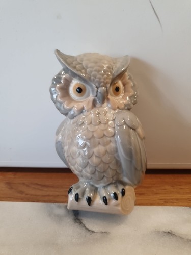 Clean baby owl - clean,
