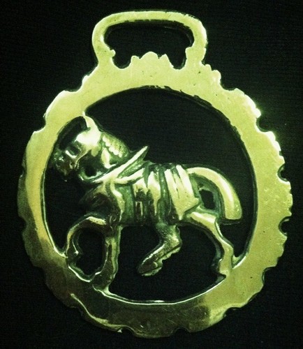 Trotting harness horse dog - horse,