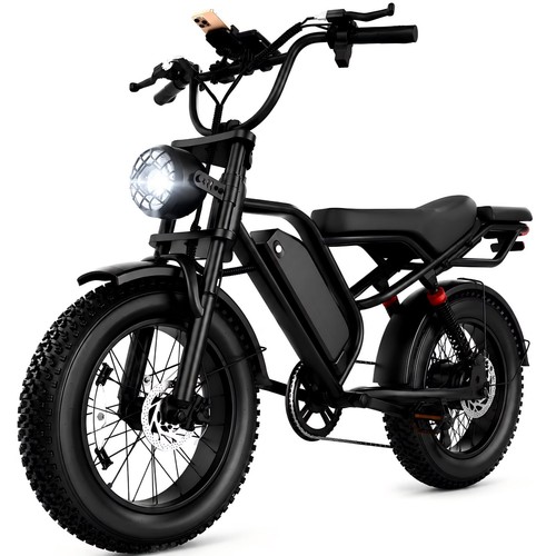 Fat tire electric bike - fat,
