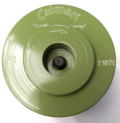 Caiman 21870 43mm - , full