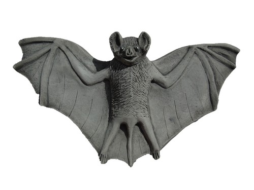 Flying bat hanging - flying, wall
