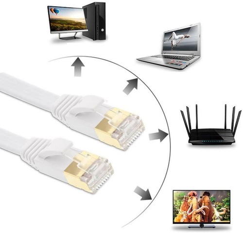 Cat7 gigabit ethernet network - cat7,