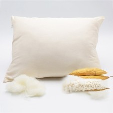 Organic Kapok Cotton Pillows