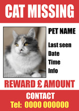 Missing Cat Personalised Name Contact Information Details Photo Poster Reward