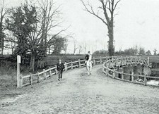 Chiddingfold Hunt Meet