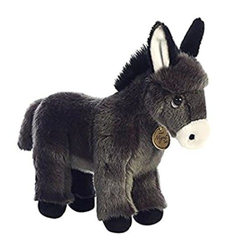 Aurora donkey foal 26285 - aurora,