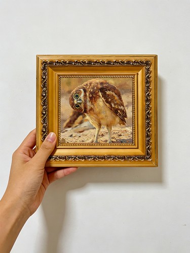 Burrowing owl sandy ground - burrowing,