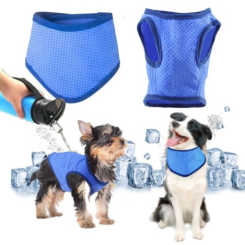 Summer dog cooling vest - dog, pet