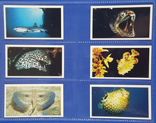 Grandee Cigar Cards THE LIVING