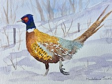 Pheasant bird in snow  5.5in x