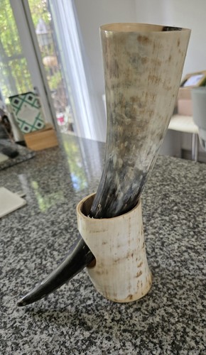 Large cow horn drinking - large,