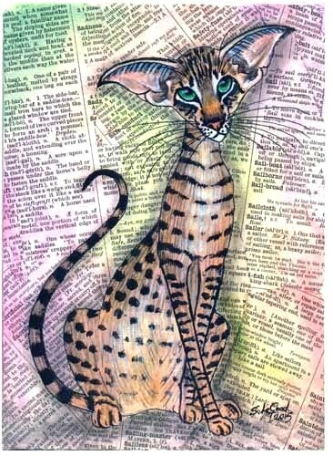Oriental tabby cat - cat, print