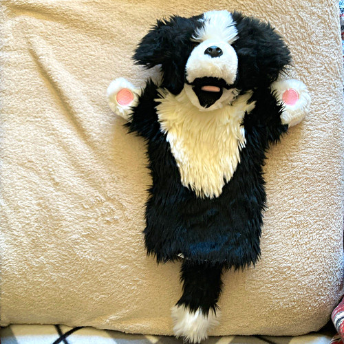 The puppet company ltd black - the, &