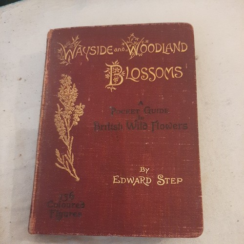 Wayside woodland blossoms - woodland,