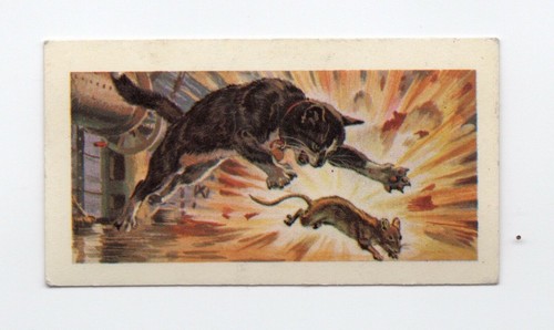 Famous pets history simon - of,