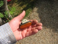 TOYOTA MR2 MK3 ROADSTER 1.8 99-06 SIDE LIGHT REPEATER INDICATOR AMBER