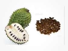 35  Soursop Seeds, Annona