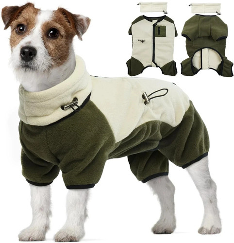 Small medium dog - dog, 4