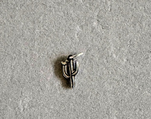 Retiring james avery 925 - james,