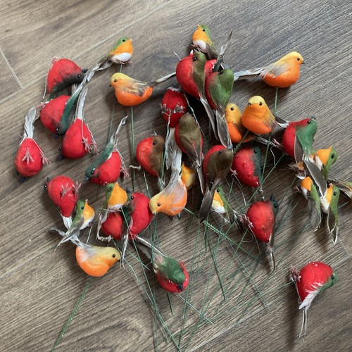 Robin bird christmas - robin/bird, picks