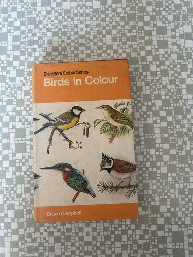 Blandford birds colour - birds,