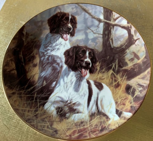 Dog springer spaniel plate - dog,
