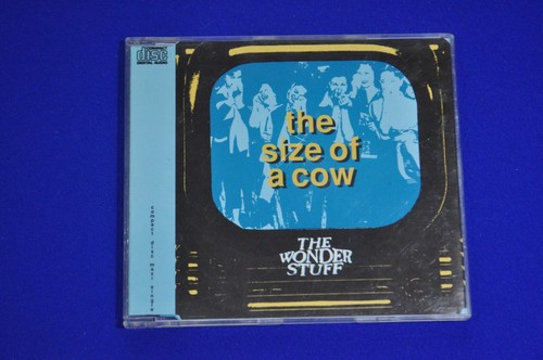 The wonder stuff - the, of