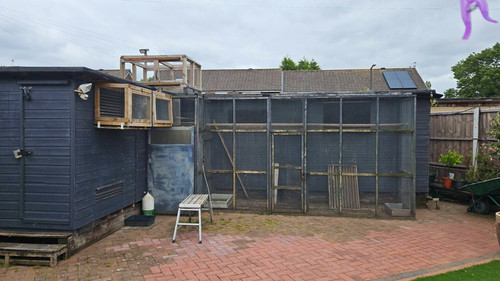 Grey wooden garden shed - garden,
