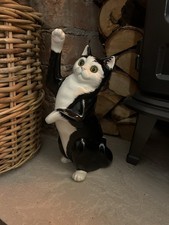 Just Cats Co. Staffordshire