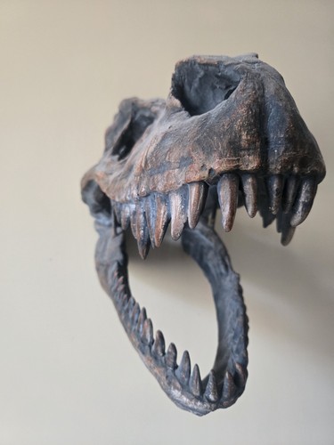 Wall mounted dinosaur skull - dinosaur,